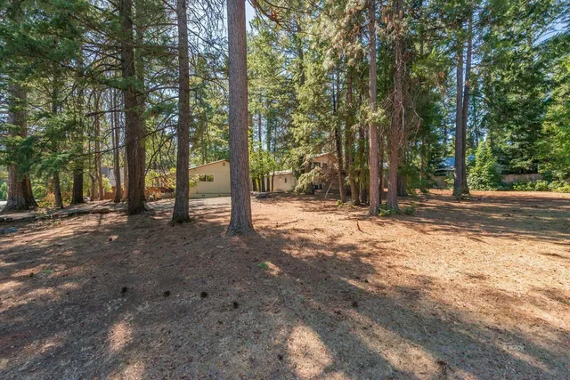 a view of outdoor space with trees