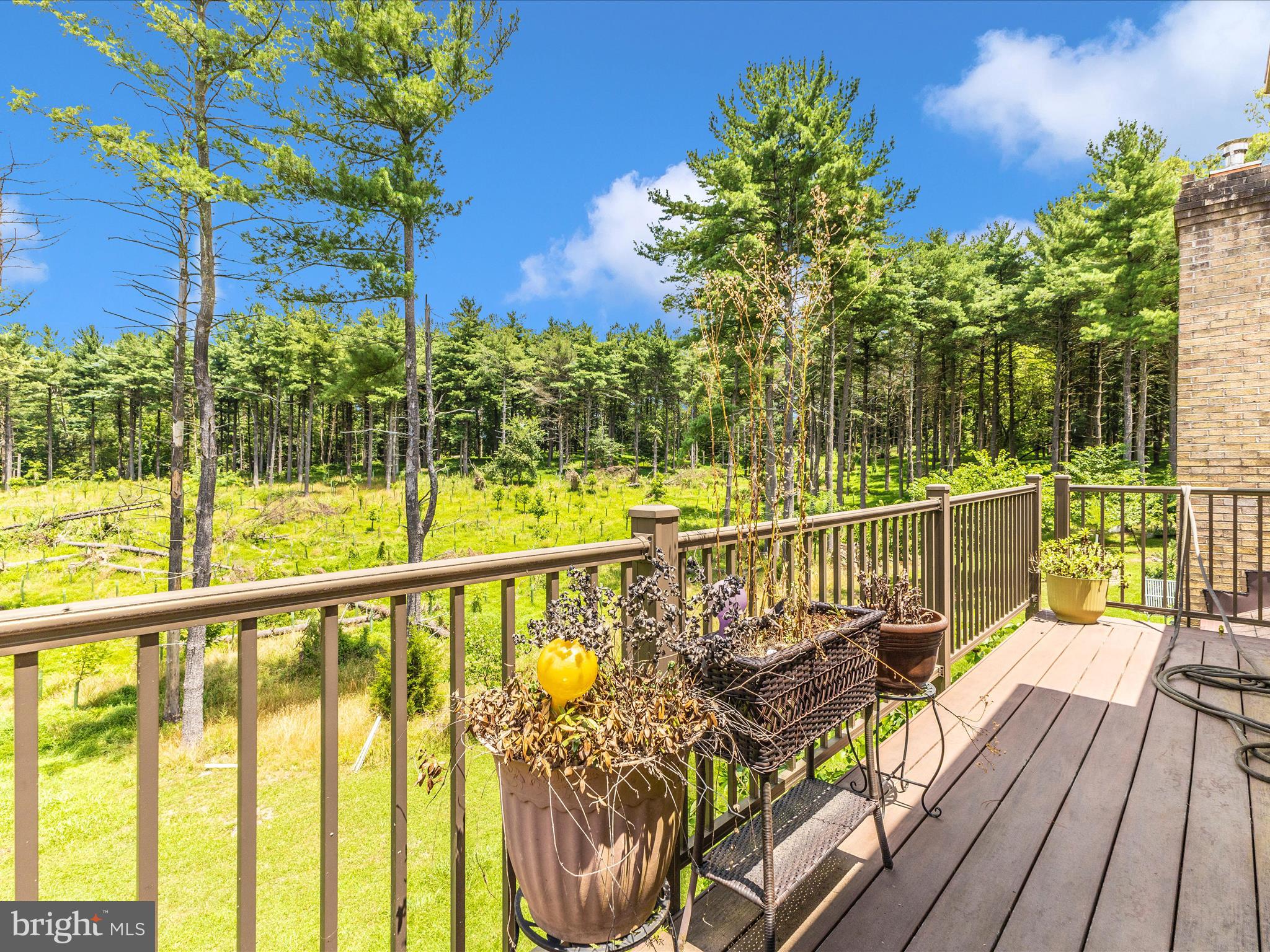 10334 Harp Road Walkersville, MD 21793 - Photo 42 of 64 Balcony