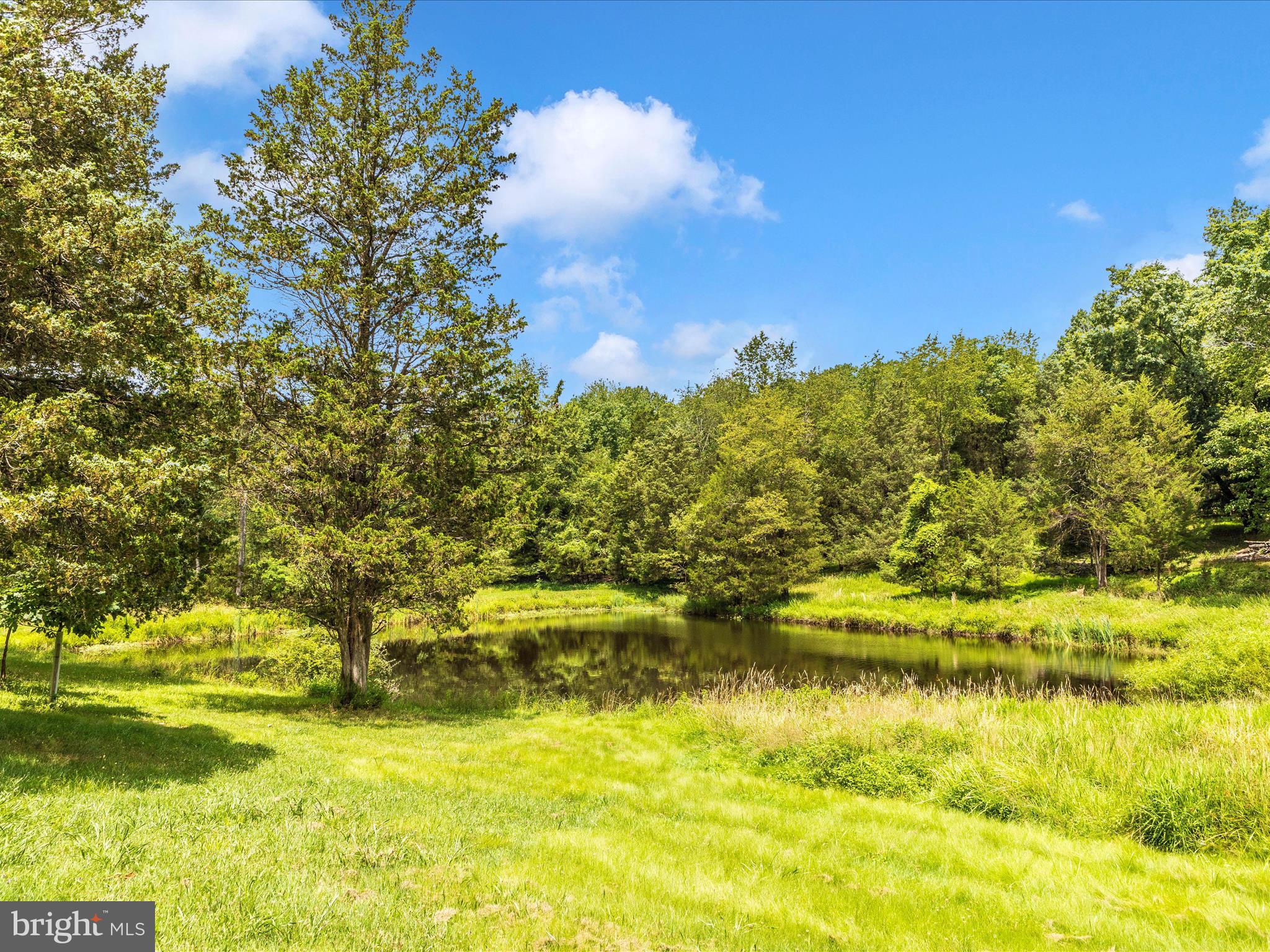 10334 Harp Road Walkersville, MD 21793 - Photo 49 of 64 Exterior Back