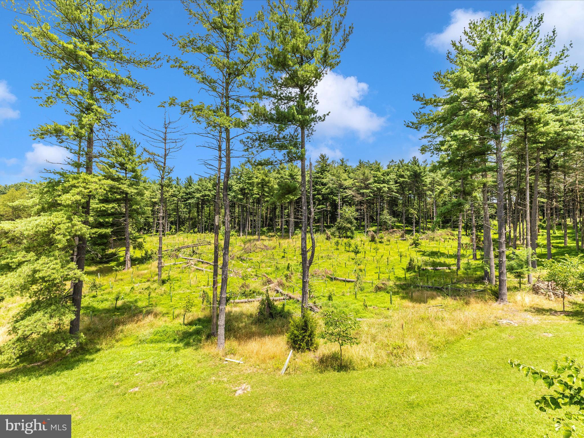 10334 Harp Road Walkersville, MD 21793 - Photo 57 of 64 Exterior Front