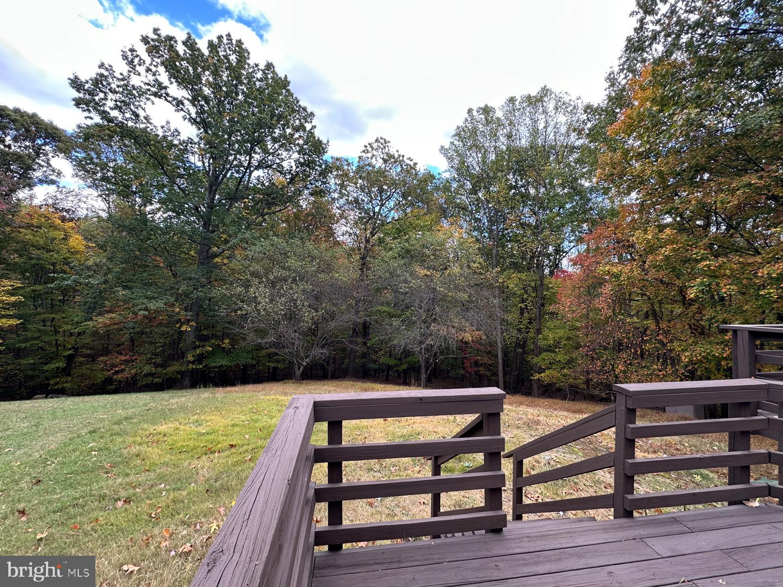 1411 Mercer Road Haymarket, VA 20169 - Photo 65 of 66