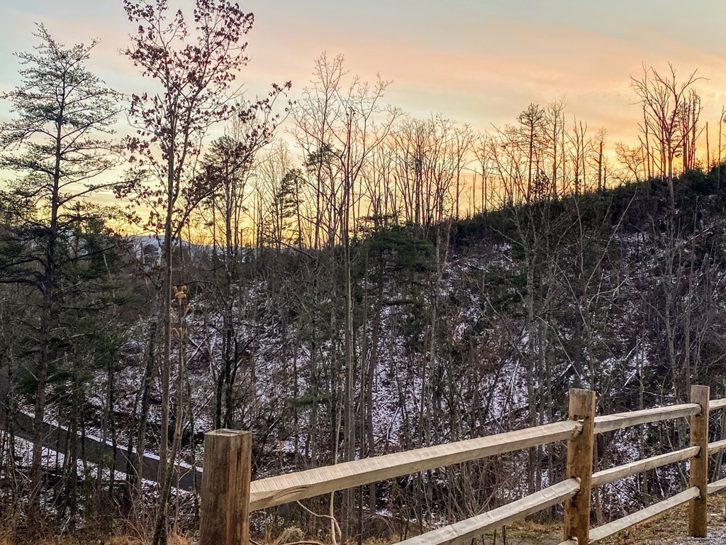 1940 Backhome Way, Unit 3 Sevierville, TN 37876 - Photo 54 of 54