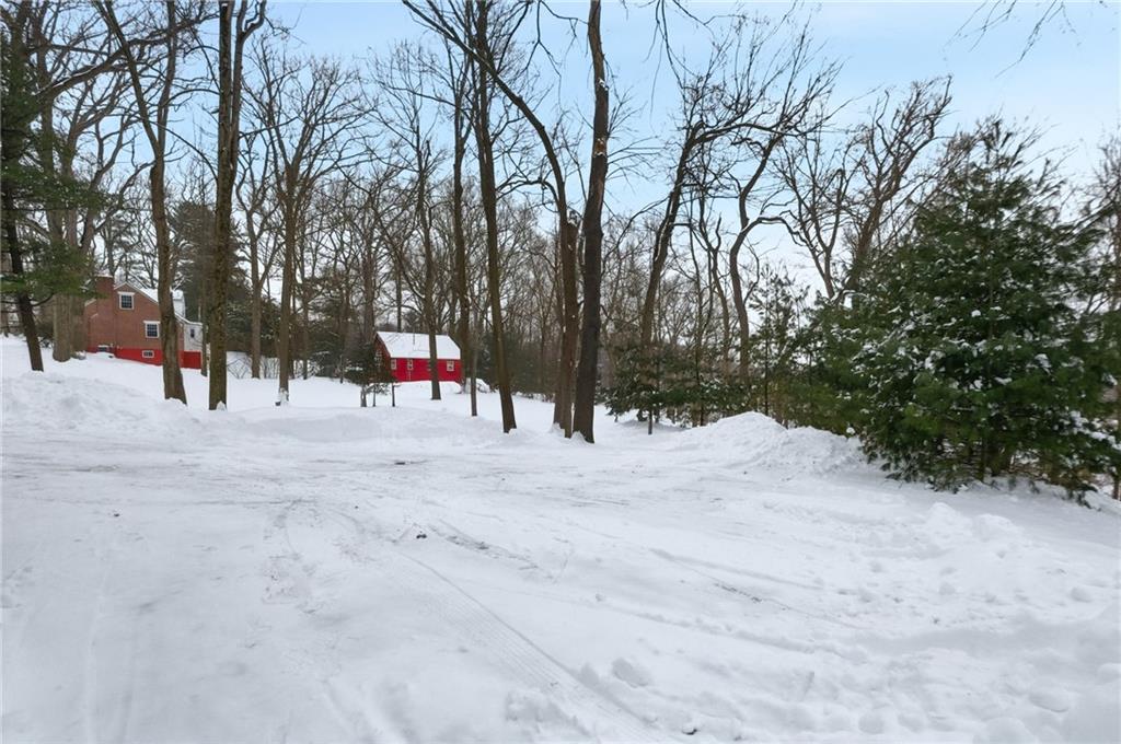 230 Neely School Road Wexford, PA 15090 - Photo 38 of 41 a park view with large trees