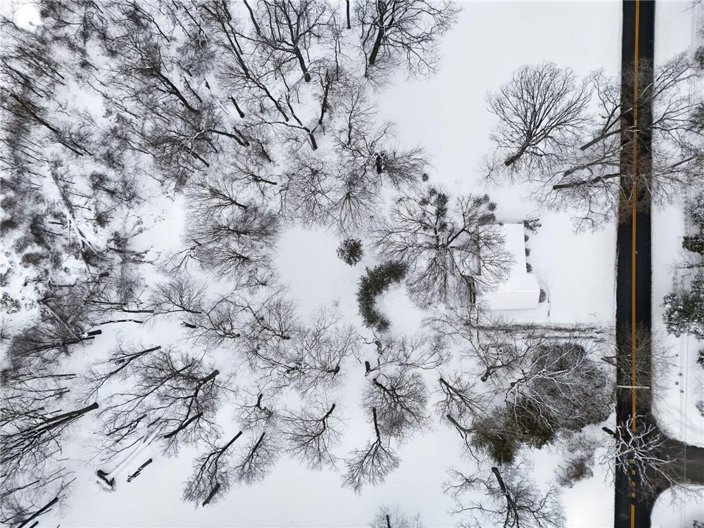 230 Neely School Road Wexford, PA 15090 - Photo 40 of 41 a view of a large yard with lots of bushes