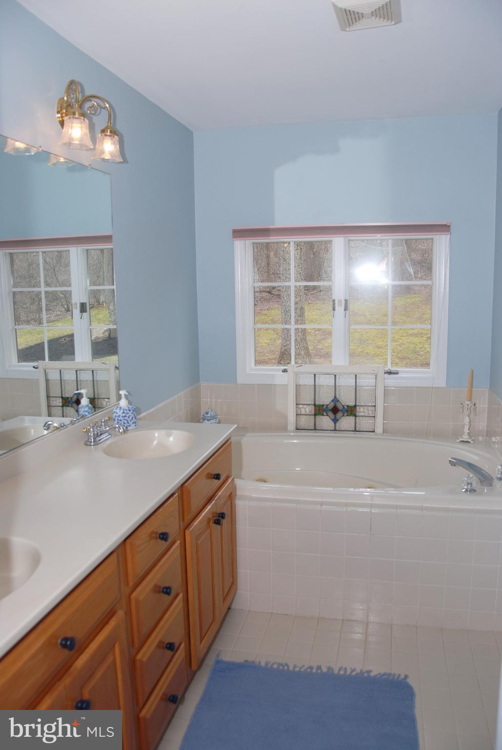 1300 Upper Glencoe Road Sparks, MD 21152 - Photo 20 of 30 Bath with Whirlpool Tub