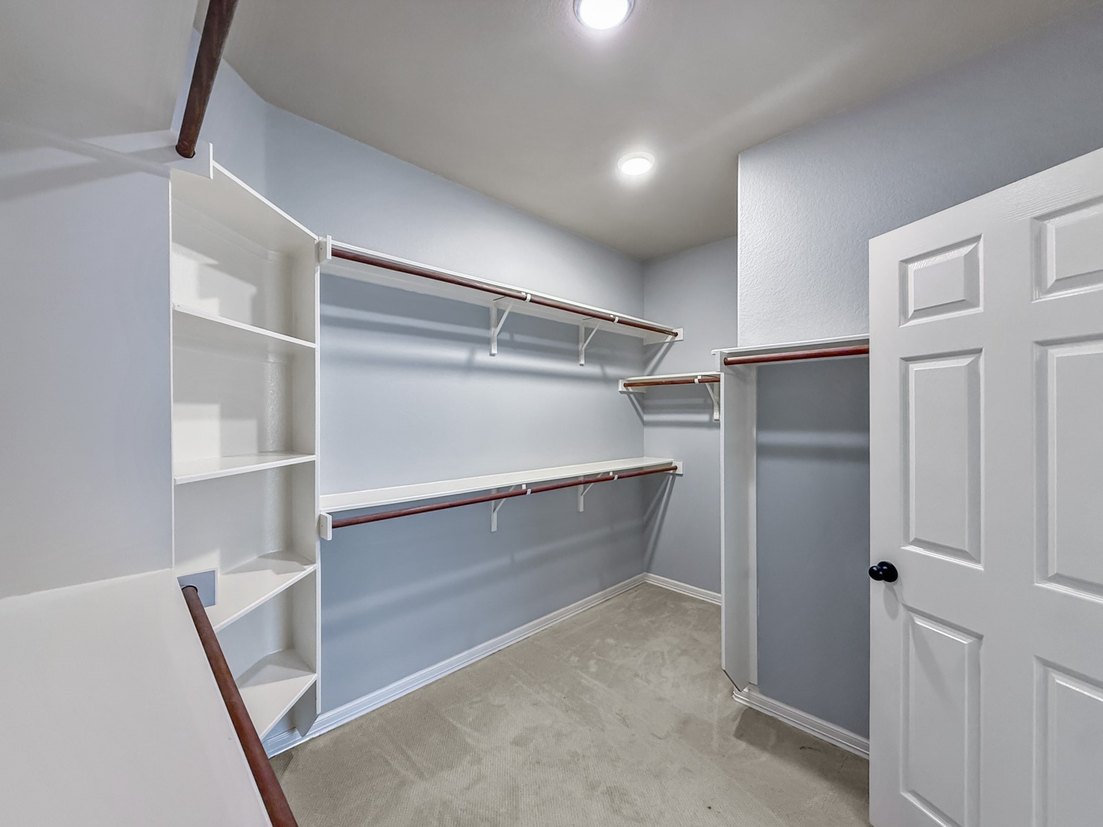 245 Razzmatazz Trail Buda, TX 78610 - Photo 24 of 40 Walk in closet featuring light carpet