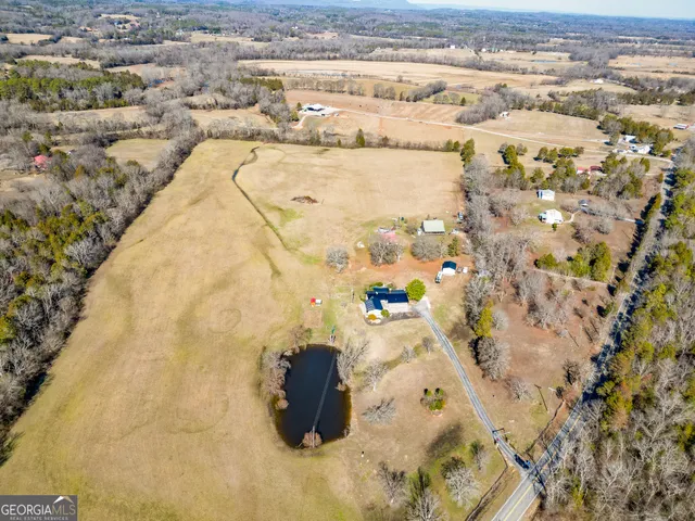 a close up of a plant in a bathroom