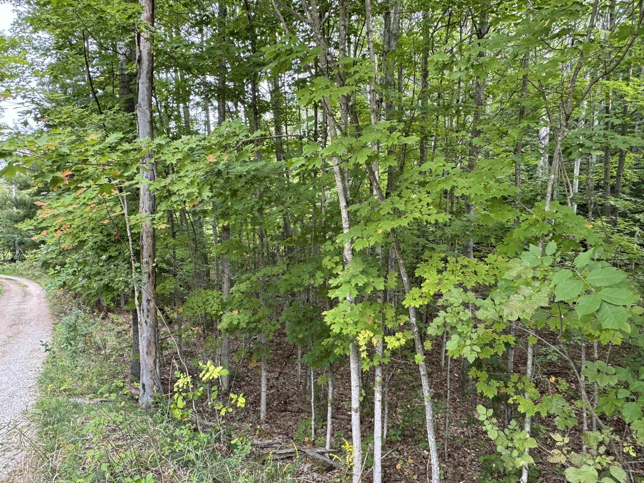 Lot 4 East Old Mountain Road, Unit LOT: 4 Cedar, MI 49621 - Photo 3 of 12