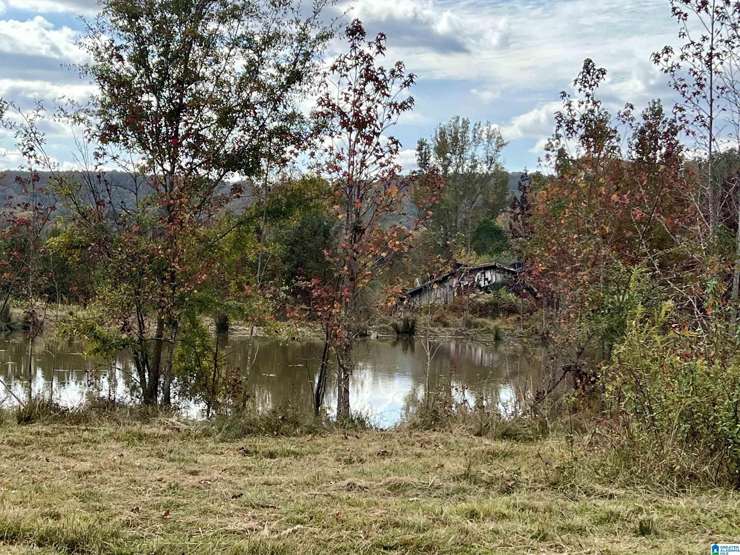 0 Rock Springs Road, Unit 52 24 Warrior, AL 35180 - Photo 32 of 39