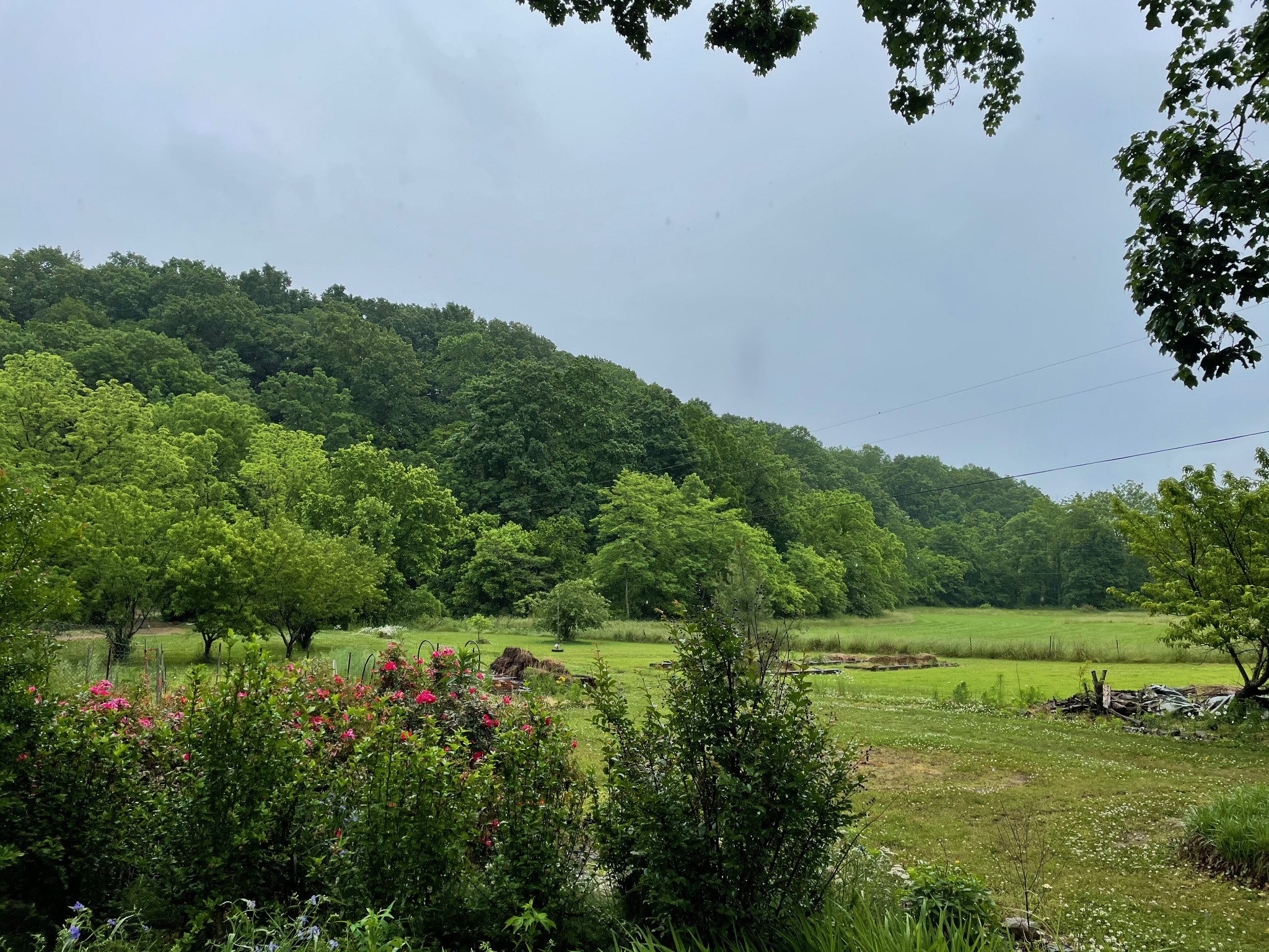 1055 Rabe Coats Road Westmoreland, TN 37186 - Photo 1 of 5 Gallery Image 1