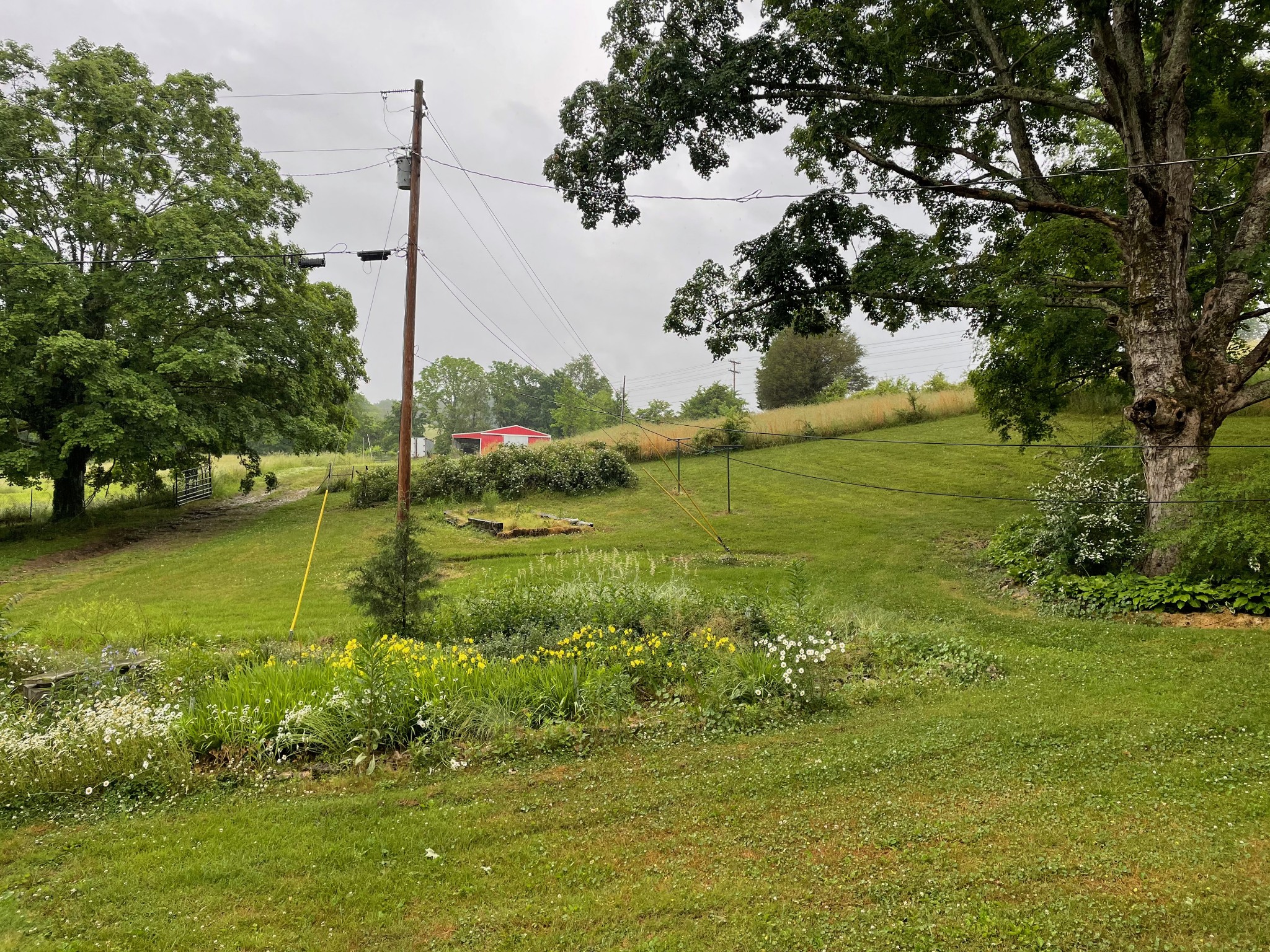 1055 Rabe Coats Road Westmoreland, TN 37186 - Photo 3 of 5 Gallery Image 3