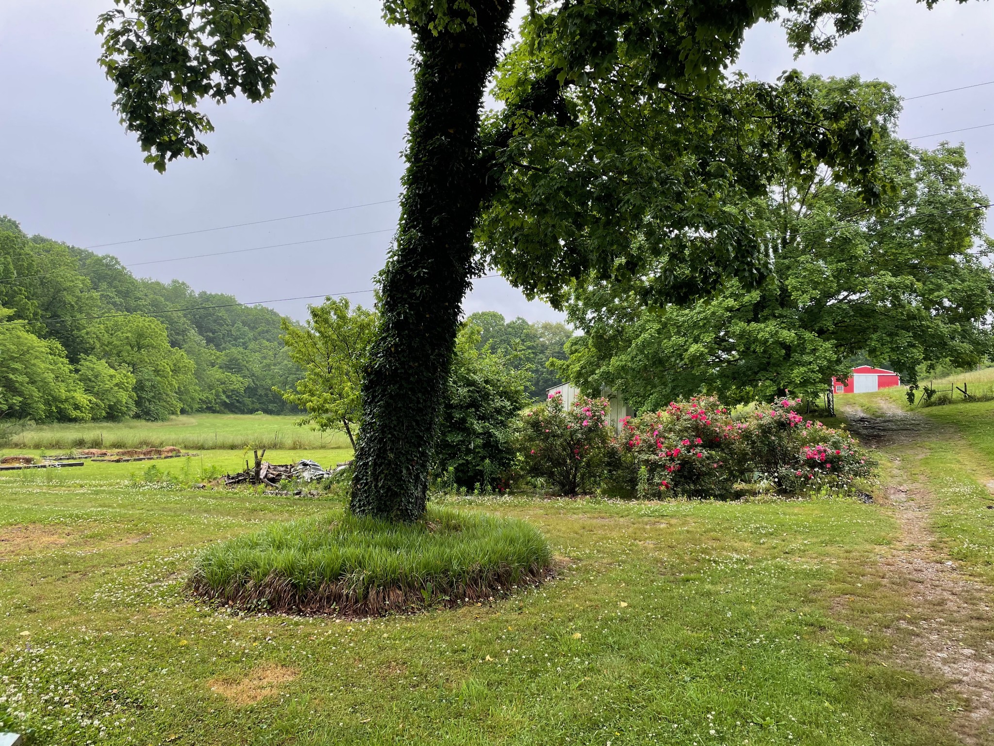1055 Rabe Coats Road Westmoreland, TN 37186 - Photo 4 of 5 Gallery Image 4