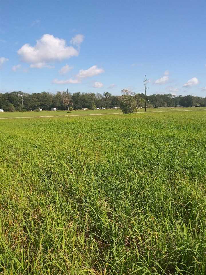 0 Wynn Road Summerdale, AL 36580 - Photo 8 of 12