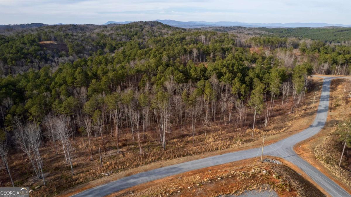 Lot 177 Shallow Water Way Talking Rock, GA 30175 - Photo 11 of 39