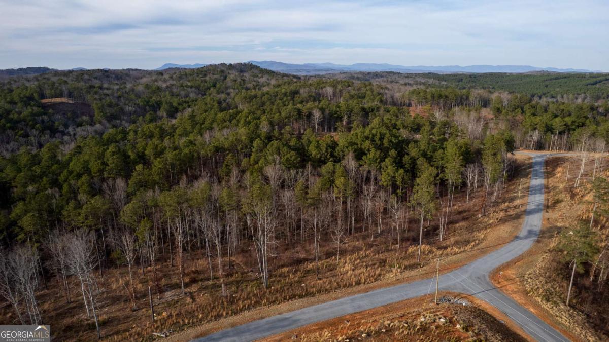 Lot 177 Shallow Water Way Talking Rock, GA 30175 - Photo 12 of 39