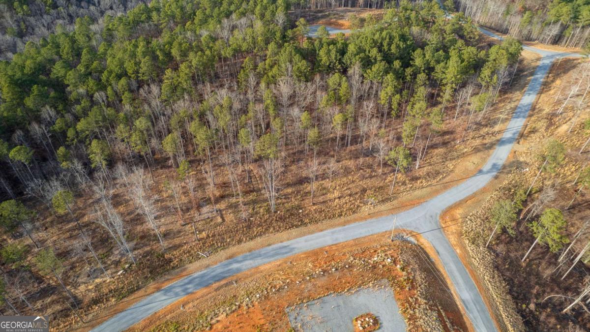 Lot 177 Shallow Water Way Talking Rock, GA 30175 - Photo 13 of 39
