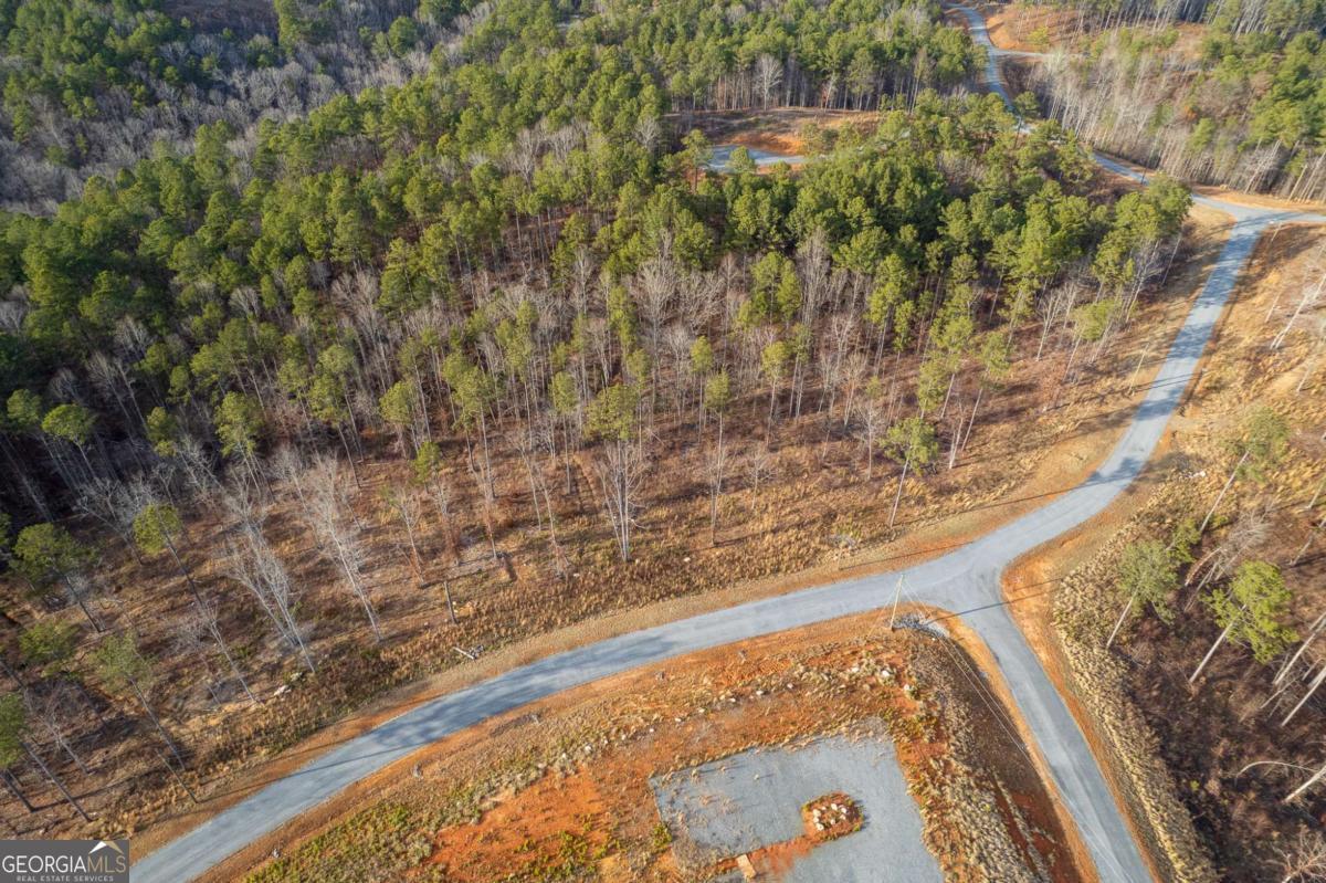 Lot 177 Shallow Water Way Talking Rock, GA 30175 - Photo 14 of 39