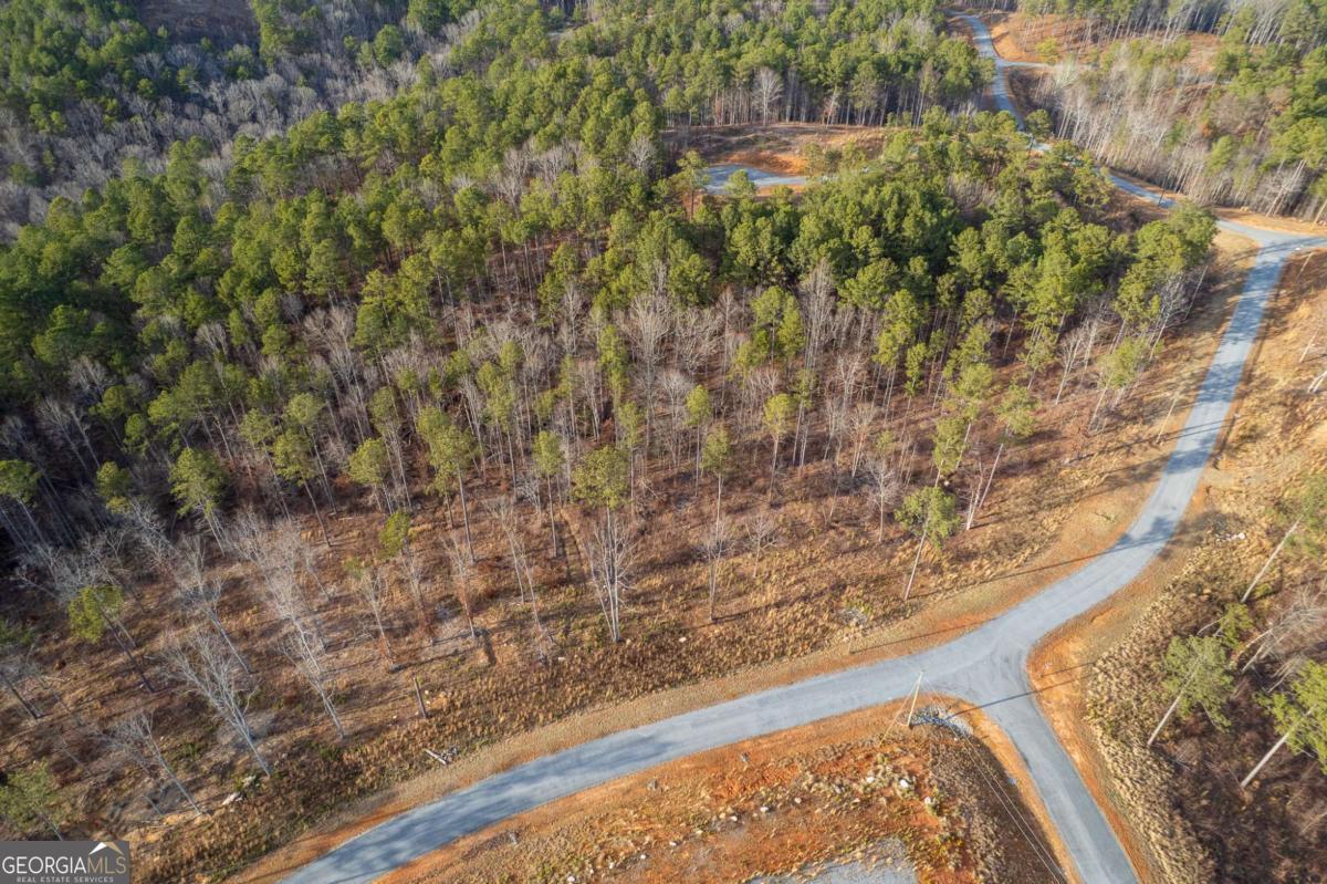 Lot 177 Shallow Water Way Talking Rock, GA 30175 - Photo 15 of 39
