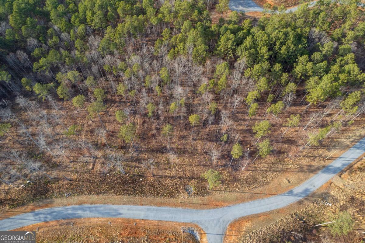Lot 177 Shallow Water Way Talking Rock, GA 30175 - Photo 16 of 39