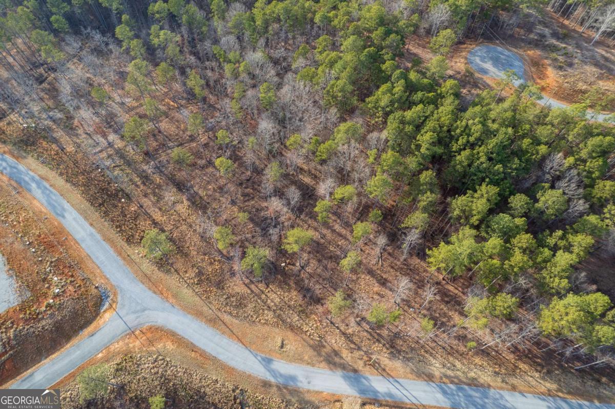 Lot 177 Shallow Water Way Talking Rock, GA 30175 - Photo 17 of 39