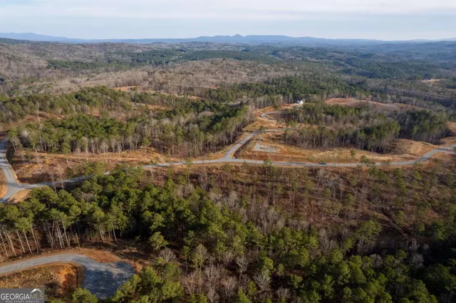 a view of a city with mountains in the background