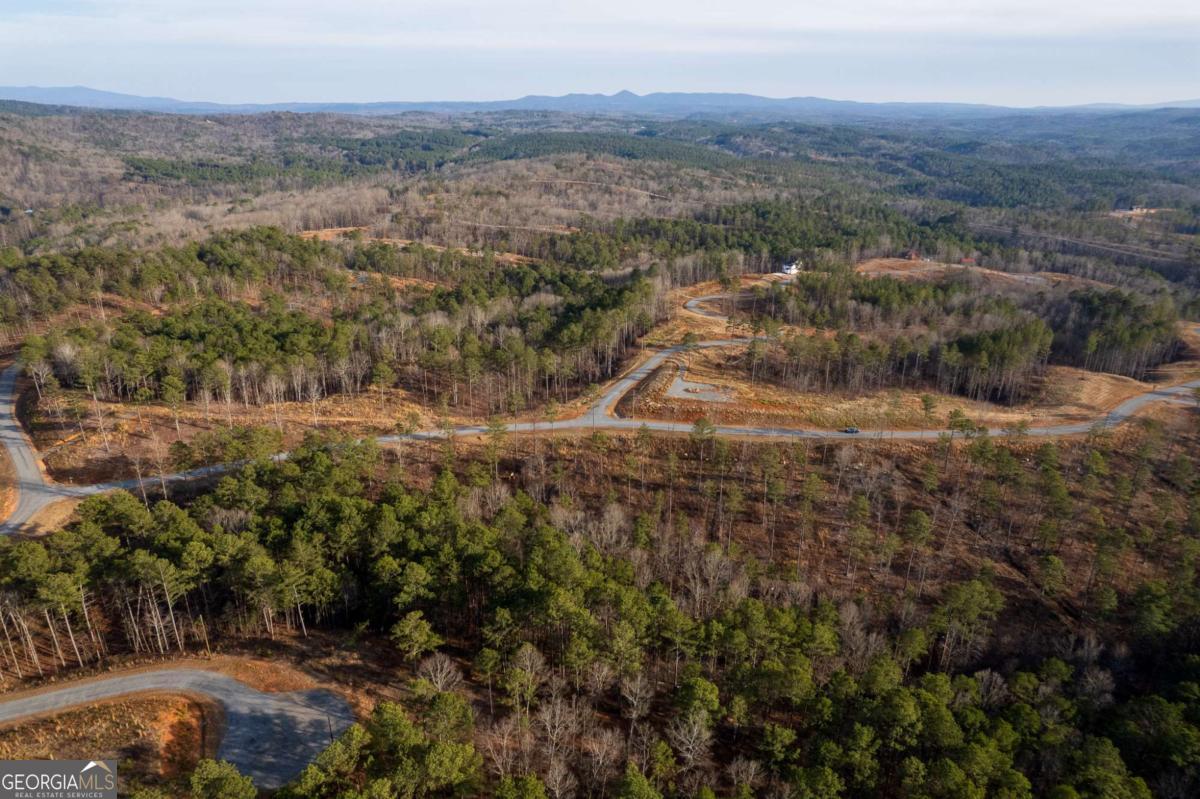 Lot 177 Shallow Water Way Talking Rock, GA 30175 - Photo 18 of 39