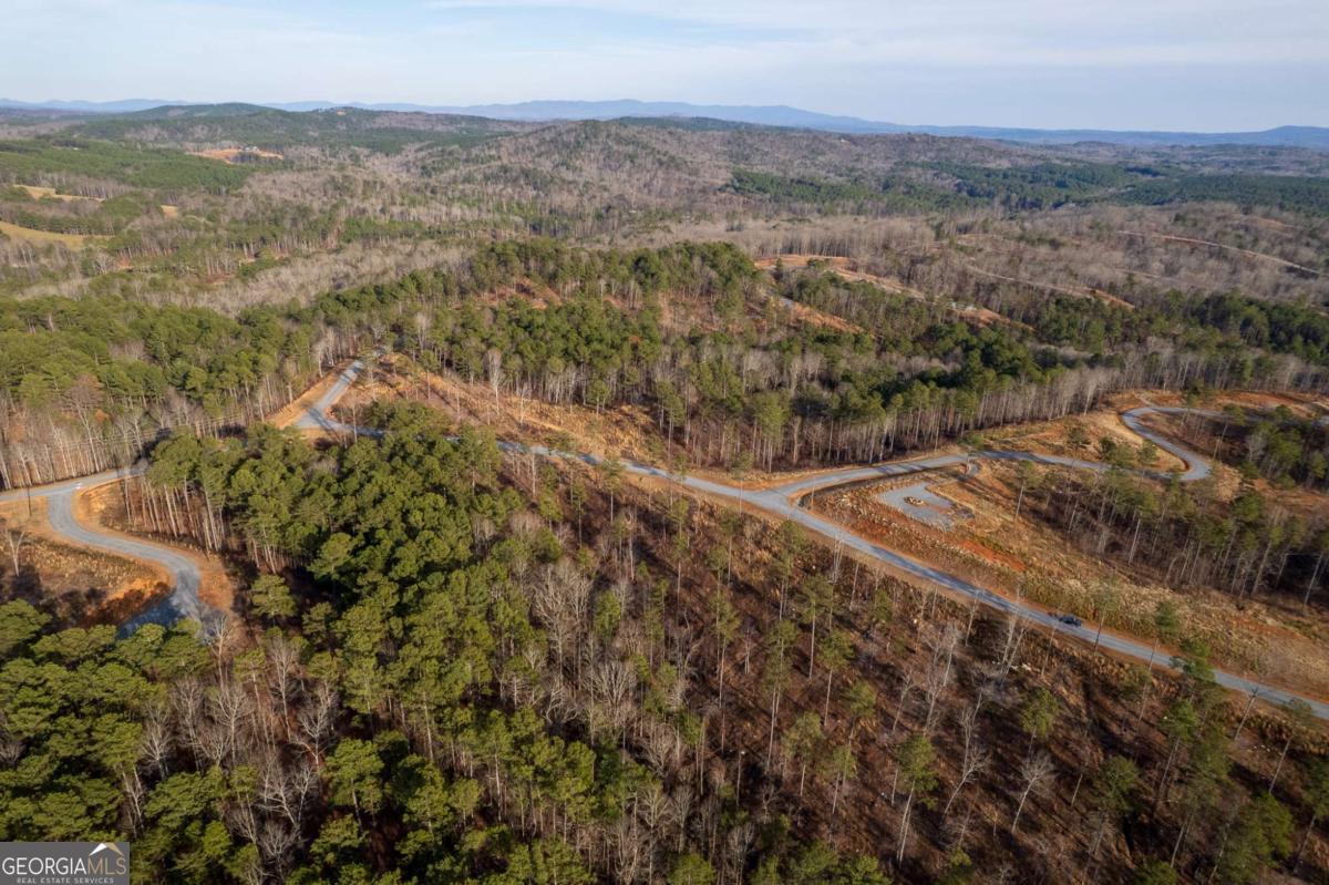 Lot 177 Shallow Water Way Talking Rock, GA 30175 - Photo 19 of 39