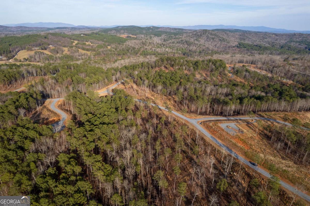 Lot 177 Shallow Water Way Talking Rock, GA 30175 - Photo 20 of 39