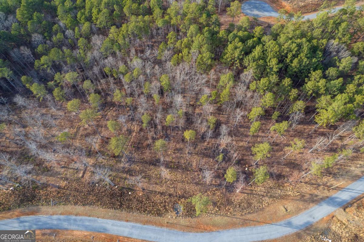 Lot 177 Shallow Water Way Talking Rock, GA 30175 - Photo 21 of 39