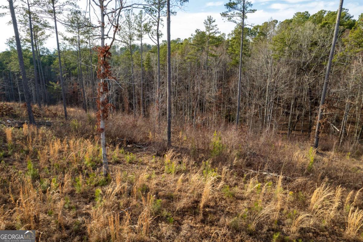 Lot 177 Shallow Water Way Talking Rock, GA 30175 - Photo 22 of 39