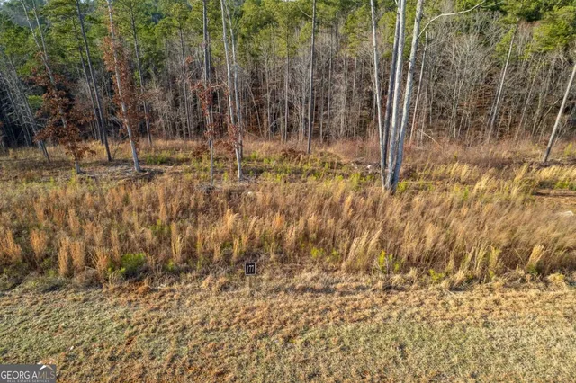a view of outdoor space and trees