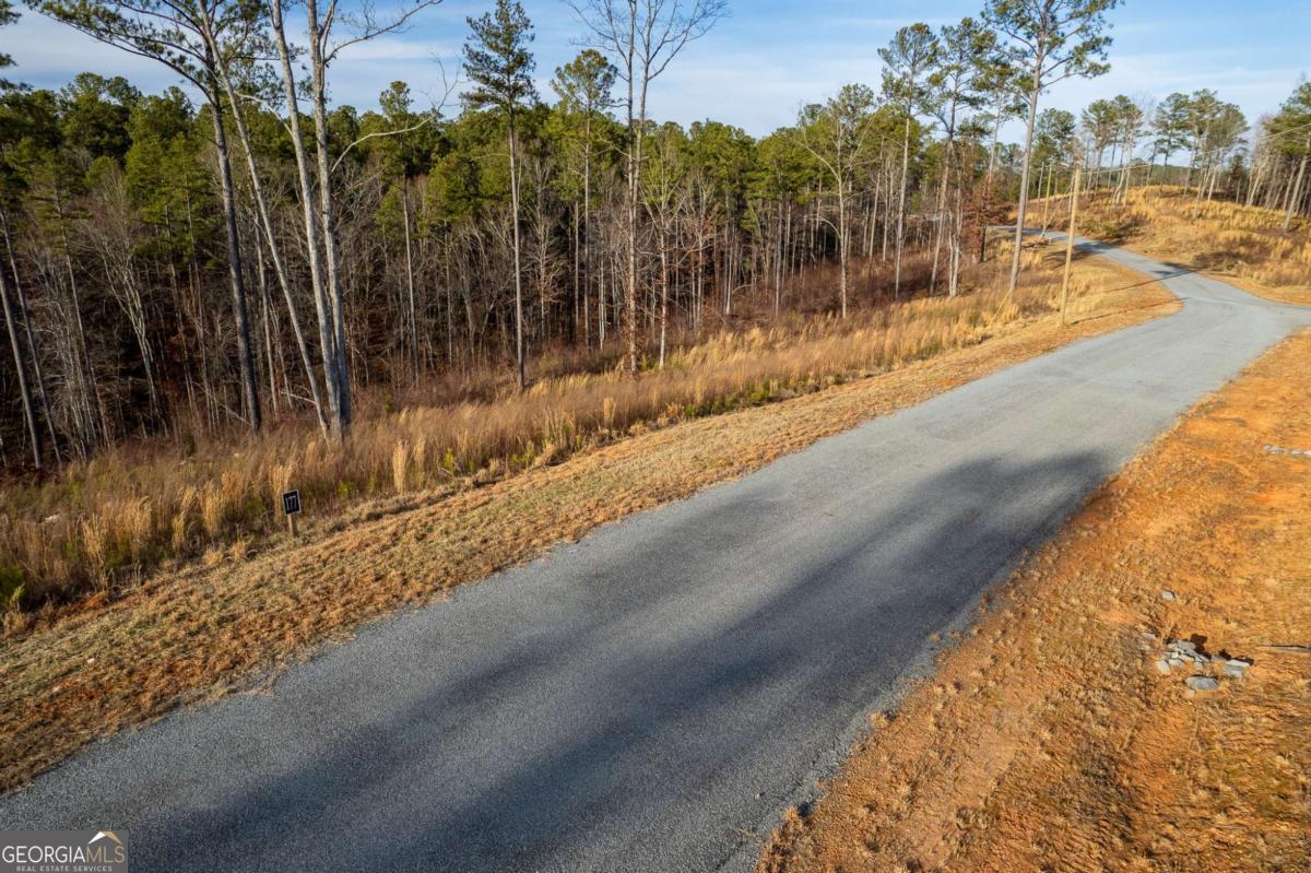 Lot 177 Shallow Water Way Talking Rock, GA 30175 - Photo 25 of 39