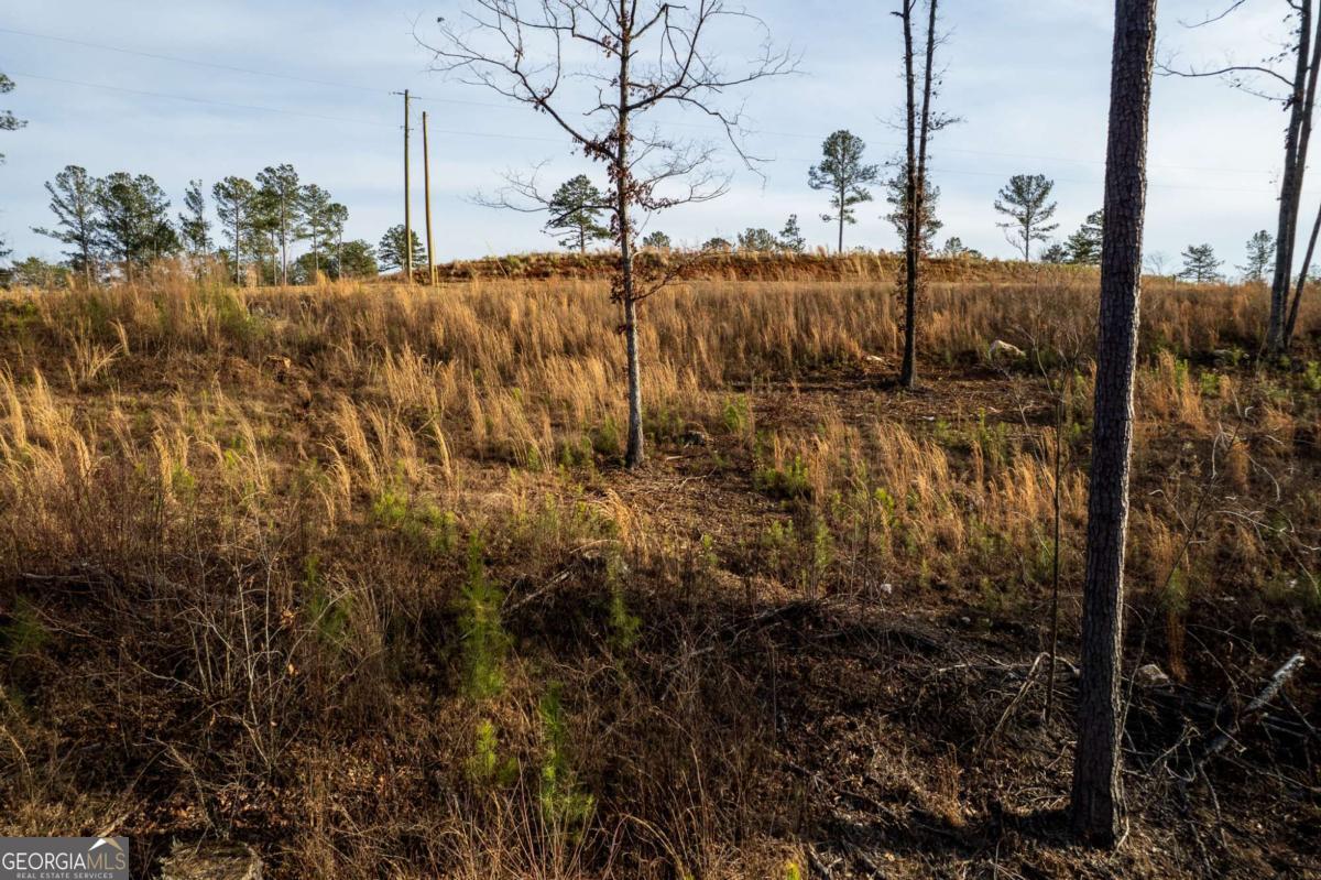 Lot 177 Shallow Water Way Talking Rock, GA 30175 - Photo 27 of 39
