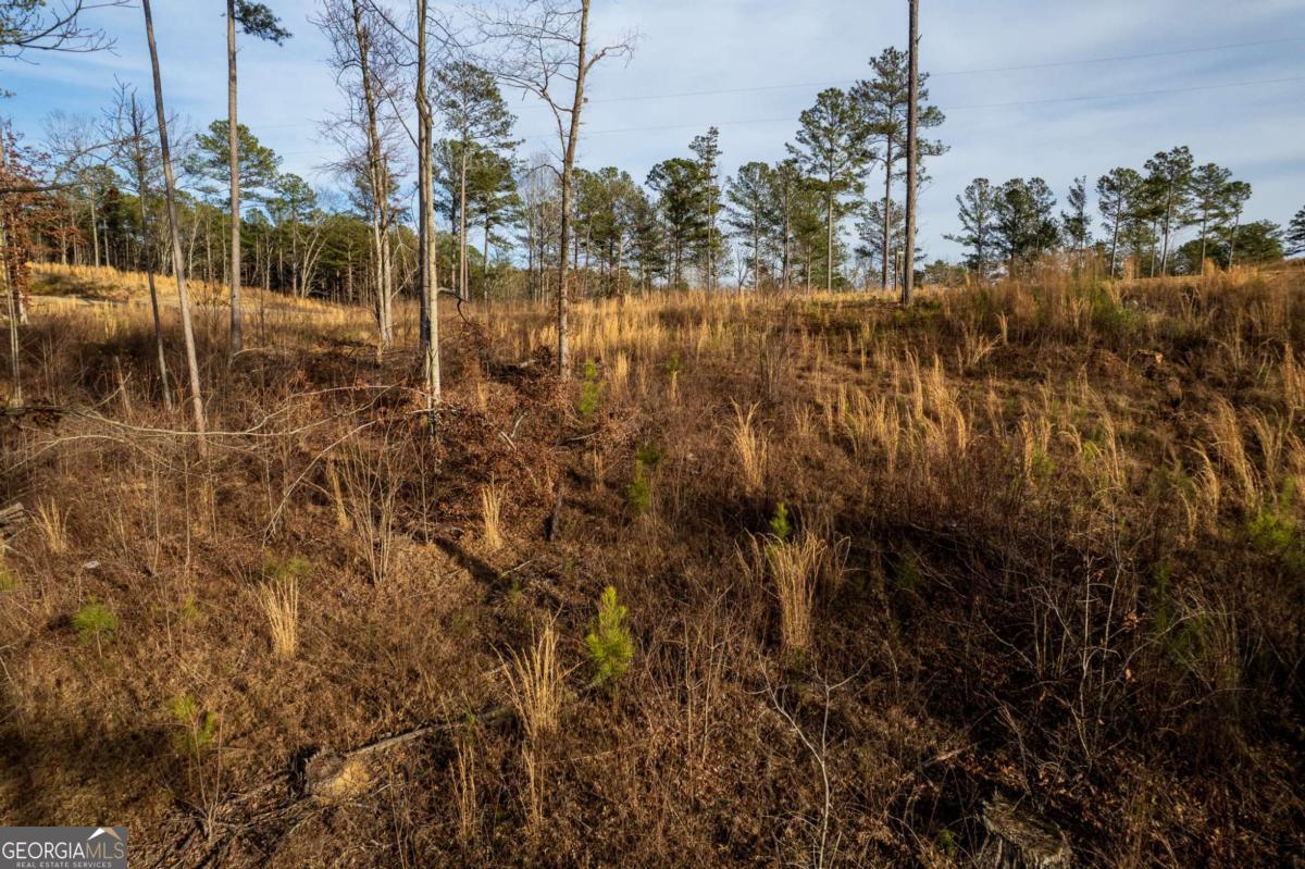 Lot 177 Shallow Water Way Talking Rock, GA 30175 - Photo 28 of 39