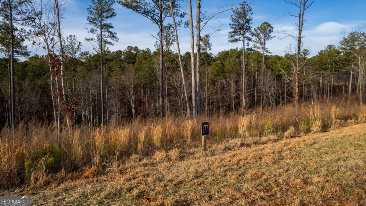 Lot 177 Shallow Water Way Talking Rock, GA 30175 - Photo 4 of 39