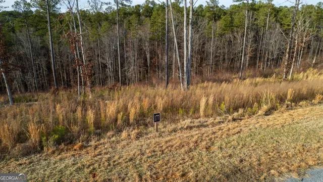 a view of backyard with green space