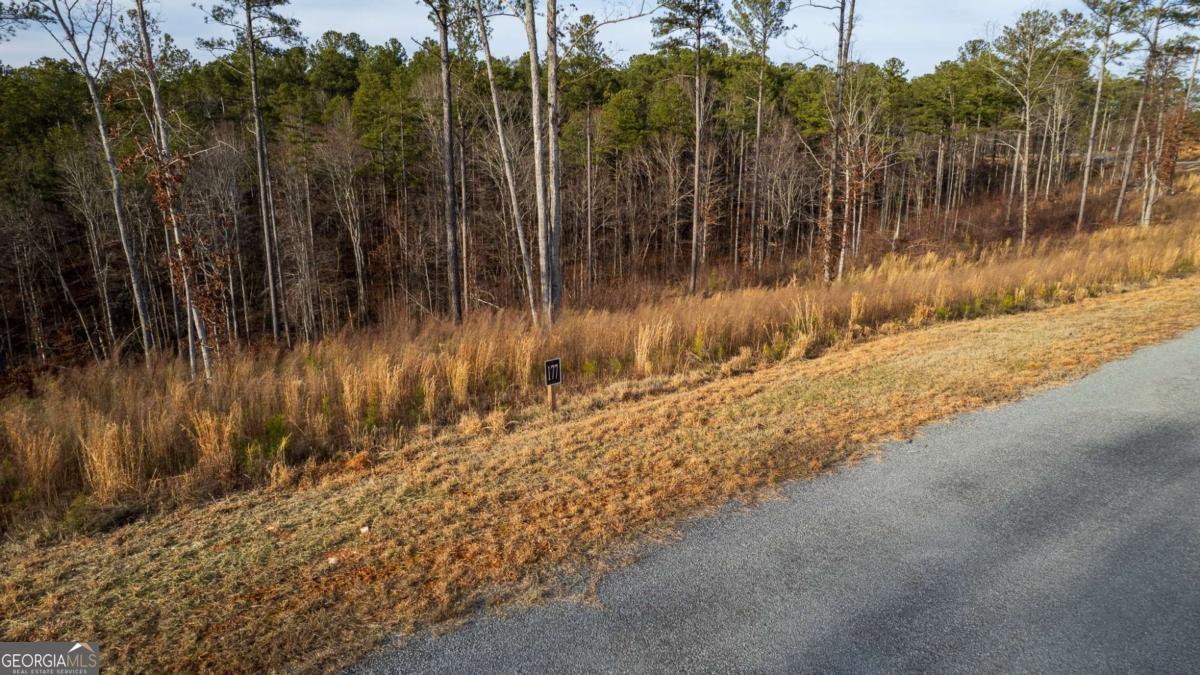Lot 177 Shallow Water Way Talking Rock, GA 30175 - Photo 6 of 39