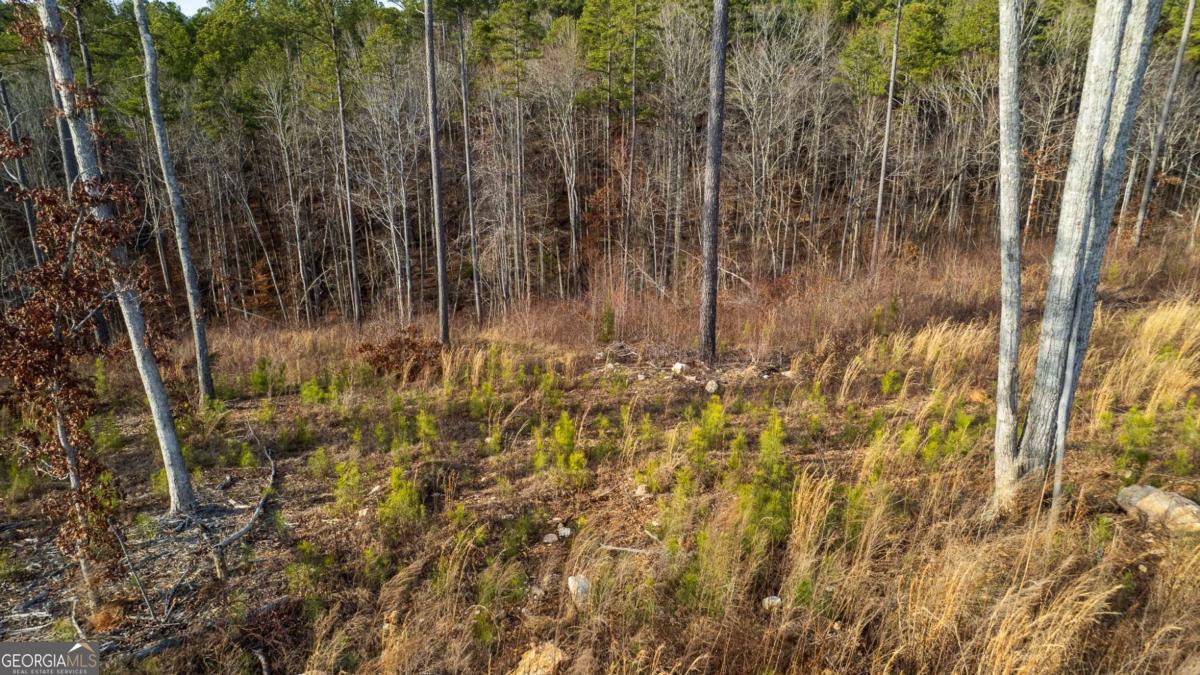 Lot 177 Shallow Water Way Talking Rock, GA 30175 - Photo 7 of 39