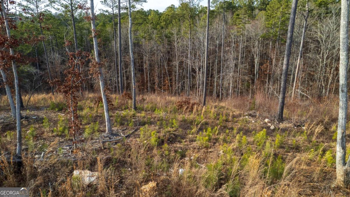 Lot 177 Shallow Water Way Talking Rock, GA 30175 - Photo 8 of 39