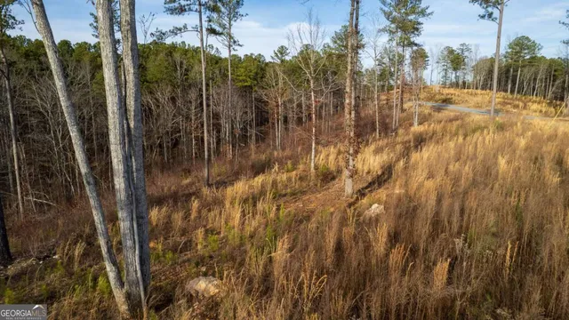 a view of a yard with wooden bridge