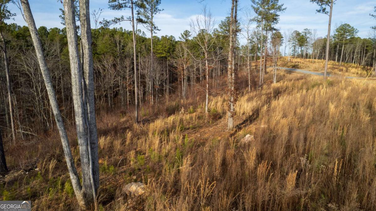 Lot 177 Shallow Water Way Talking Rock, GA 30175 - Photo 9 of 39