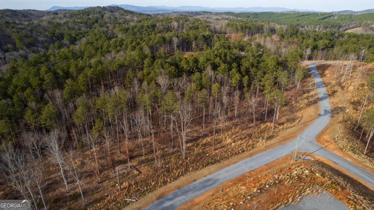 Lot 177 Shallow Water Way Talking Rock, GA 30175 - Photo 10 of 39