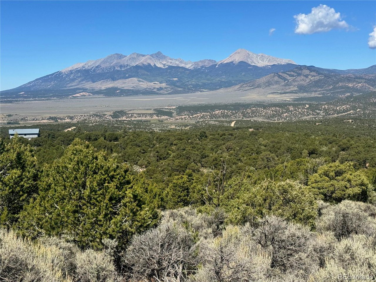 a view of a forest with mountains in the background