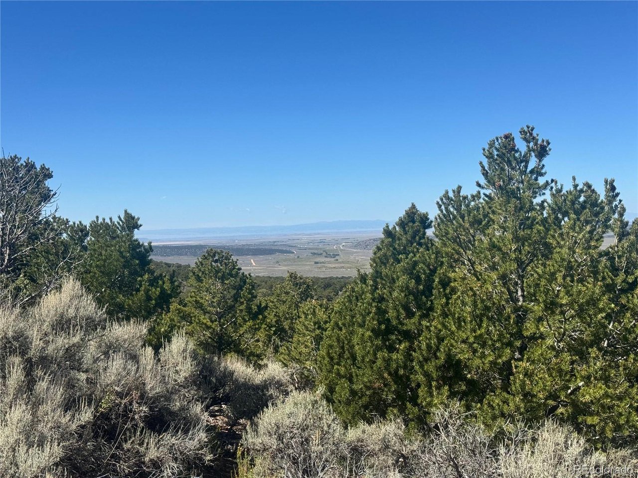 7876 Stone Road Fort Garland, CO 81133 - Photo 2 of 11 a view of a green field