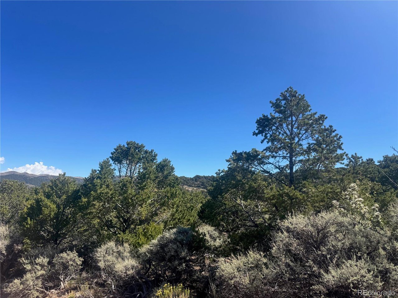 7876 Stone Road Fort Garland, CO 81133 - Photo 5 of 11 a view of a city with lush green forest