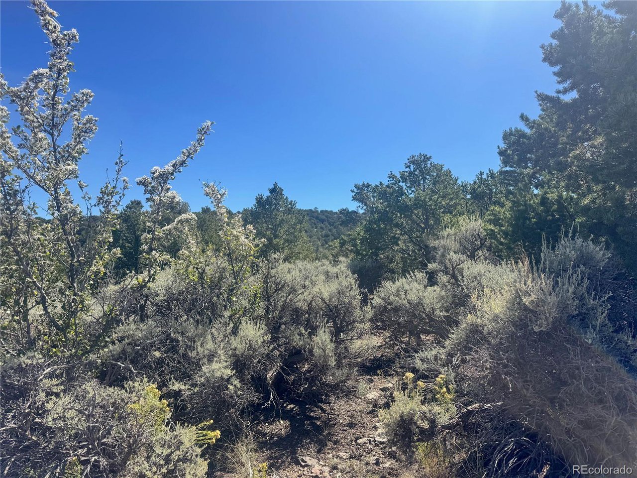 7876 Stone Road Fort Garland, CO 81133 - Photo 10 of 11 a view of a city with lush green forest