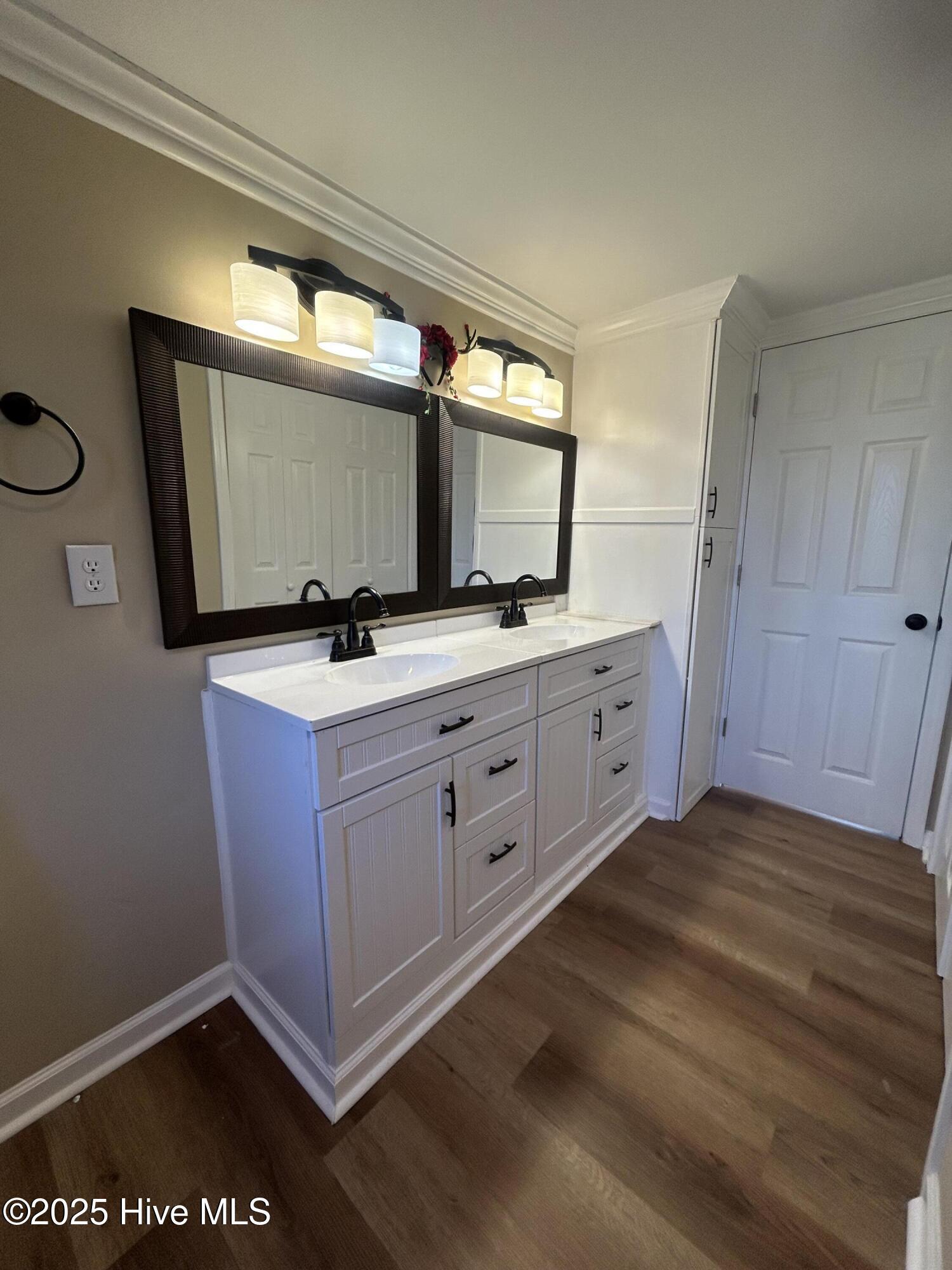 3292 Sargett Brown Road Deep Run, NC 28525 - Photo 14 of 60 Master Bath