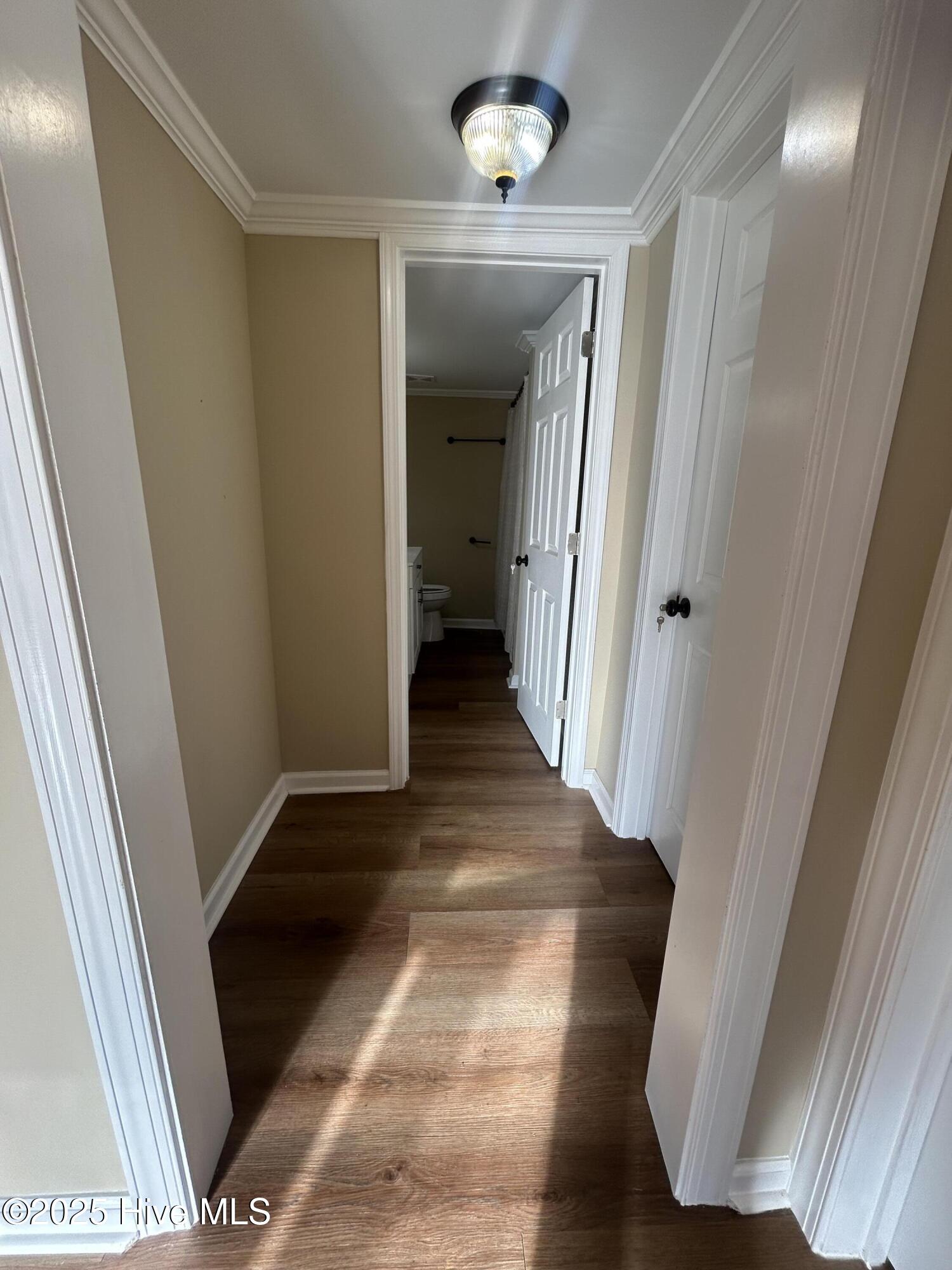 3292 Sargett Brown Road Deep Run, NC 28525 - Photo 19 of 60 Hallway