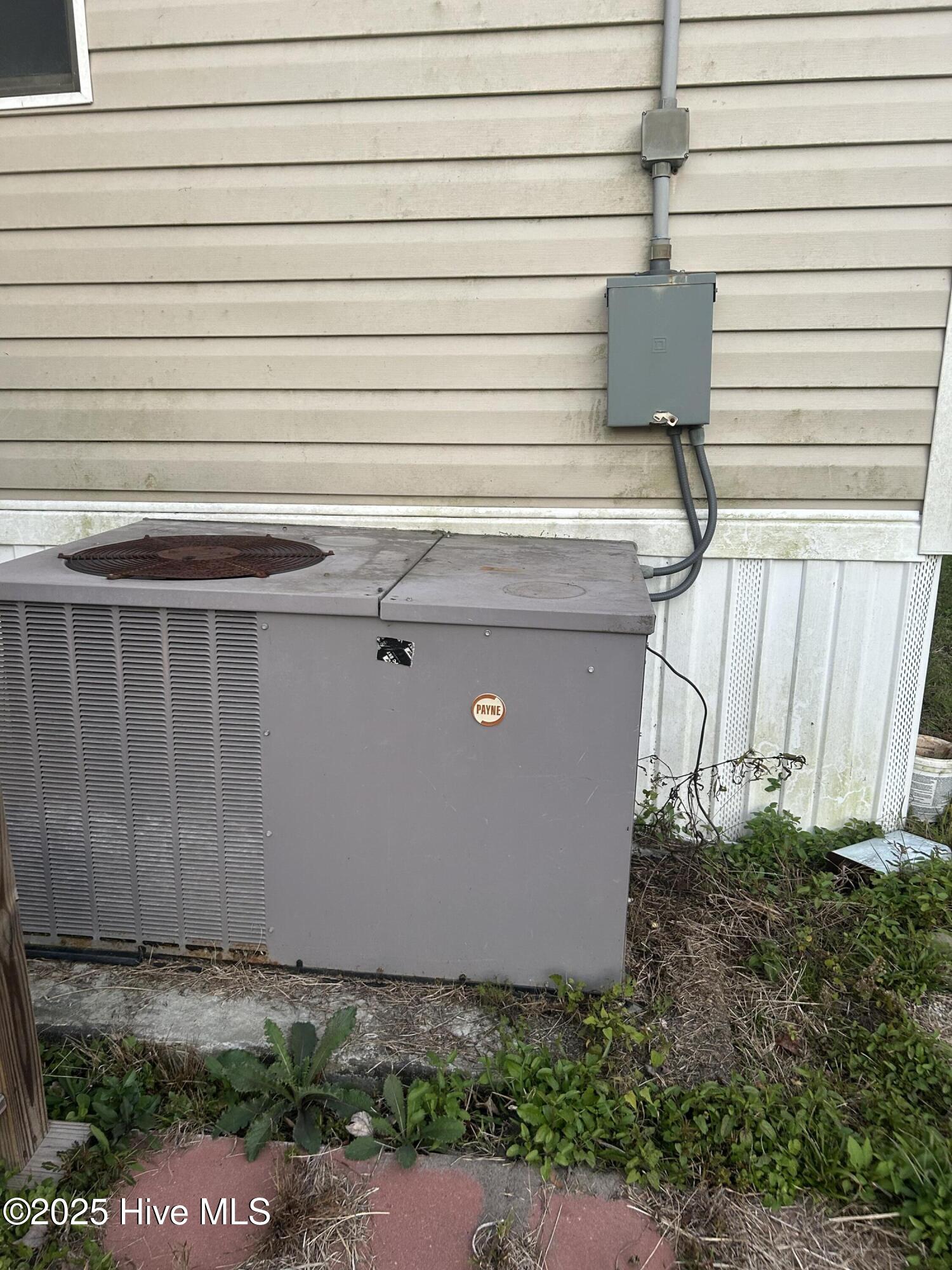 3292 Sargett Brown Road Deep Run, NC 28525 - Photo 41 of 60 IMG_0404