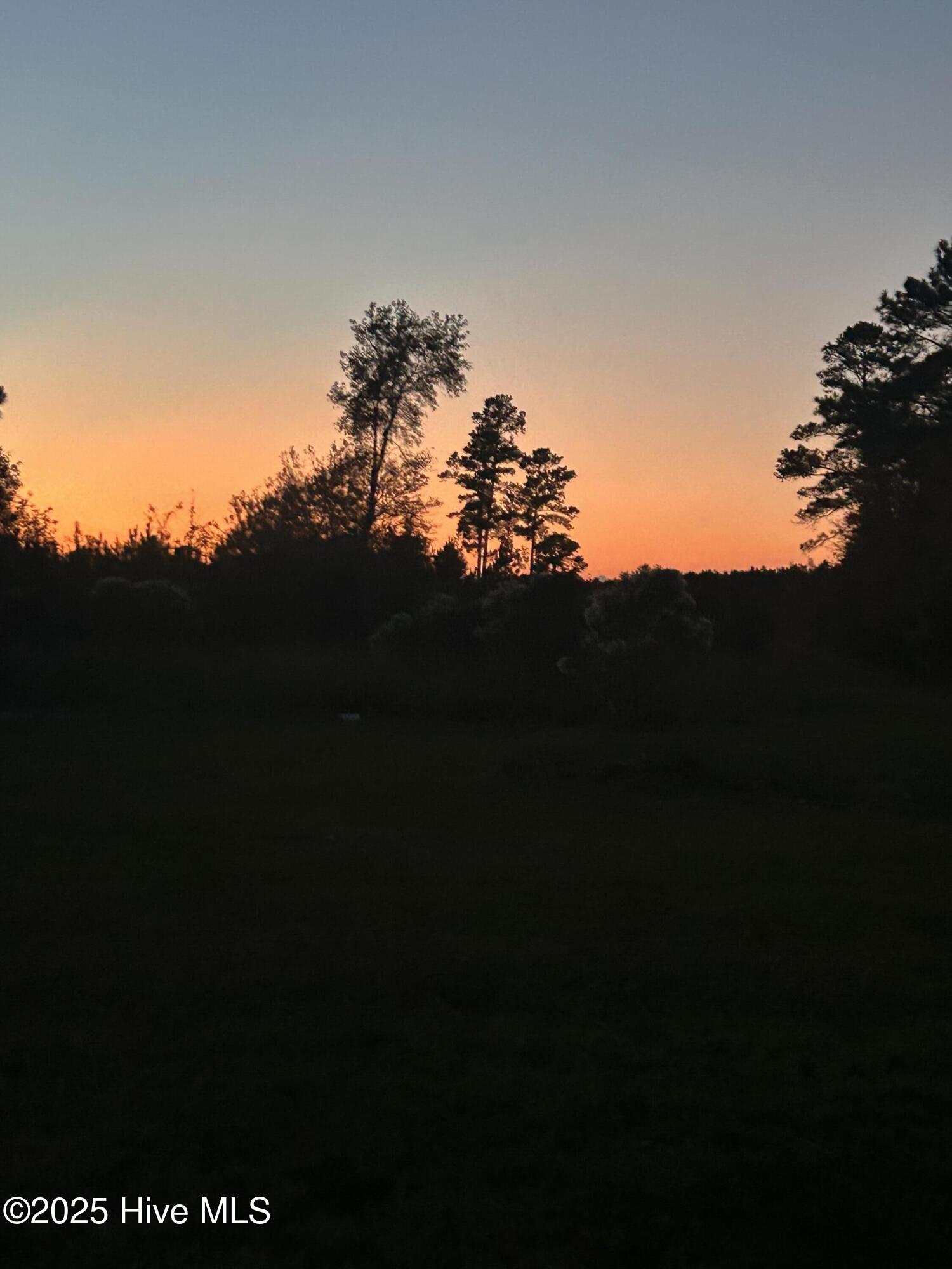 3292 Sargett Brown Road Deep Run, NC 28525 - Photo 60 of 60 IMG_0440